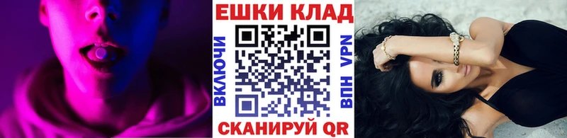 Купить закладки  Вологда  Экстази Дубай