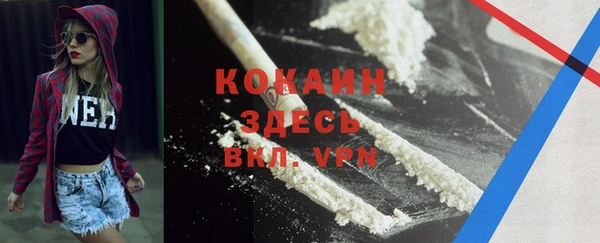 гашик Вязьма