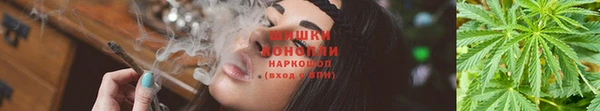 твердый Володарск