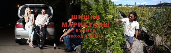 твердый Володарск