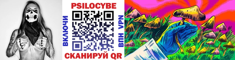 Галлюциногенные грибы Magic Shrooms  Купить где  Вологда 
